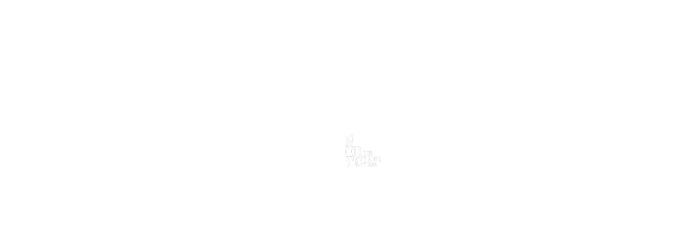 Celebration: Yves Saint Laurent - Own it on Disc & Digital
